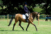 Class 48 - Pure or Part Bred Stallion, Mare or Gelding (7 years and under)