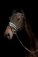 Finesse Bridles