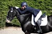 Wing Jumping & Dressage Centre Equetech Unaffiliated Dressage 9/9/23