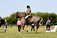 Class 11 - Ridden Cobs Traditional Hogged HorsePony