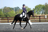The College of West Anglia British Dressage (P-AM) 16/9/23