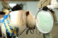 The East Anglian Shetland Pony Group Performance Show 2023