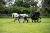 Class 5 - Open single pony