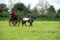 Concours D'Elegance