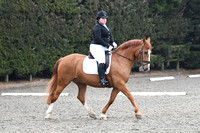 Wing Jumping & Dressage Centre Equetech Unaffiliated Dressage 24/3/18