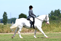 Wing Jumping & Dressage Centre Traditional Family Showing Show 25/6/18