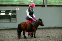 Class 39 - Miniature Mare