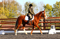 The College of West Anglia Unaffiliated Dressage 19/11/23