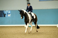Class 1 - Winter Regionals Novice Gold Championship S - Test 37(a) - Sponsored by Blue Chip