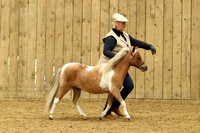Class 6 - Middleweight Yearling