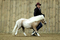 Class 56 - Home Produced Mare or Gelding