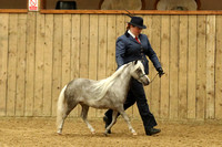 Class 7 - Middleweight 2/3 yr old
