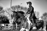 Delphine Tay Equestrian