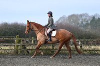 Wing Jumping & Dressage Centre Unaffiliated Dressage incl Trailblazers 1st Round 13/1/24