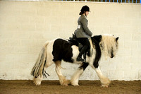 Class 26 - Riding Club Horse