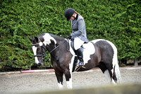 Wing Jumping & Dressage Centre Equetech Unaffiliated Dressage 18/8/19