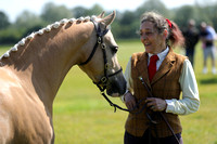 Eastern Welsh Pony and Cob Association