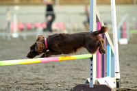 Medium Agility Qualifier C6-7