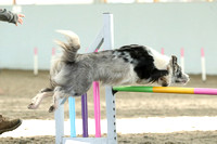 Intermediate Agility Qualifier C6-7