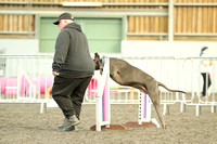 Large Agility Qualifier C3-5