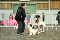 Intermediate Agility Qualifier C3-5