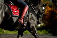 Steph Croxford Clinic Mulberry Sportshorses