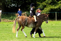 Class 98 - Pony Most Suitable for pony club activities