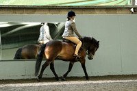 Class 16 - NPS Peasdown Stud & Jess Tlabot M&M Intermediate Small Breeds