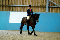 Class 7b - Novice Walk and Trot