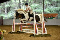 Forest Edge Arena Unaffiliated Show Jumping 2/8/20