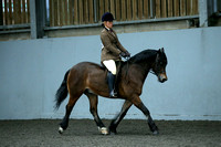 Class 5 - Ridden Open Large Breeds