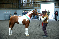 Part Bred Youngstock Championship