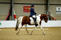 Forest Edge Arena Unaffiliated Dressage 13/12/20