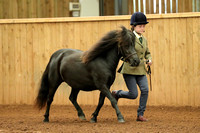 Class 26 - Native Type Miniature Pony 1,2 or 3 year old