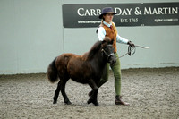 Class 38A - Mare with Foal at Foot