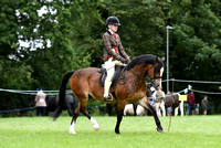 Long Sutton Horse and Pony Show  2024