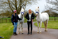 Emily, Blue and Podge