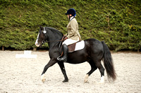 Wing Jumping & Dressage Centre Equetech Unaffiliated 21/9/22