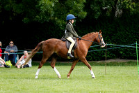 Class 9 - Veteran Horse or Pony