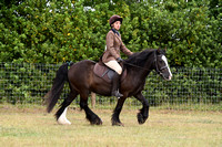 Class 25 - Ridden Cob