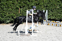 Wing Jumping and Dressage Center Equillibrium Unaffiliated Showjumping 17/9/22