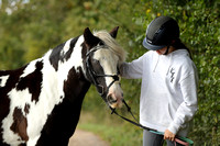 Kung Fu Equestrian