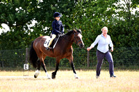 Class 1 - Intro A - Lead Rein