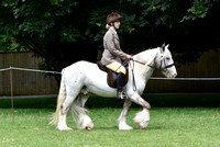 Class 23 - Open Ridden