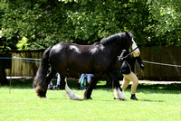 Class 27 - Junior Handler