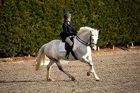 Wing Jumping and Dressage Center Equetech Winter Unaffiliated Dressage 16/02/22