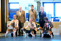 The Beagle Club Spring Open Show