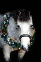 Seamus and Benji - Mini Wreath Session