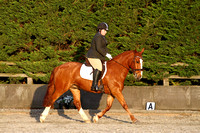 Wing Dressage Champs