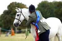 Ashwell Show